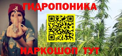 индика Тара