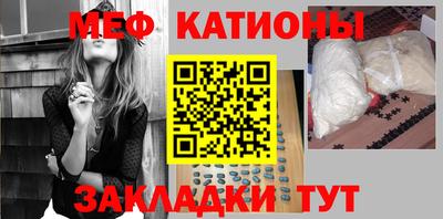 индика Тара