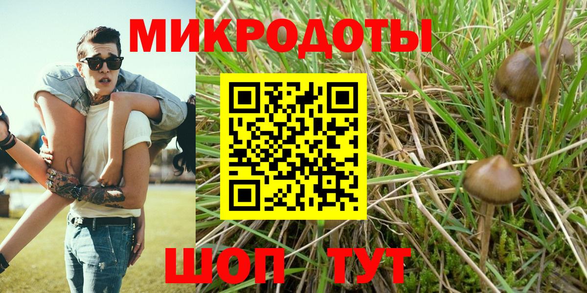 Лесной  купить наркотик  Вход с VPN  Галлюциногенные грибы Psilocybe 